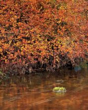 river skirfare at arncliffe.jpg